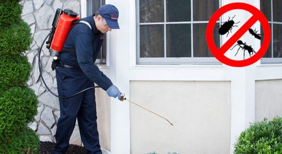 Kapaklı Karınca İlaçlama böcek ilaçlama ve haşere kontrolü — ilaclama-tr.com